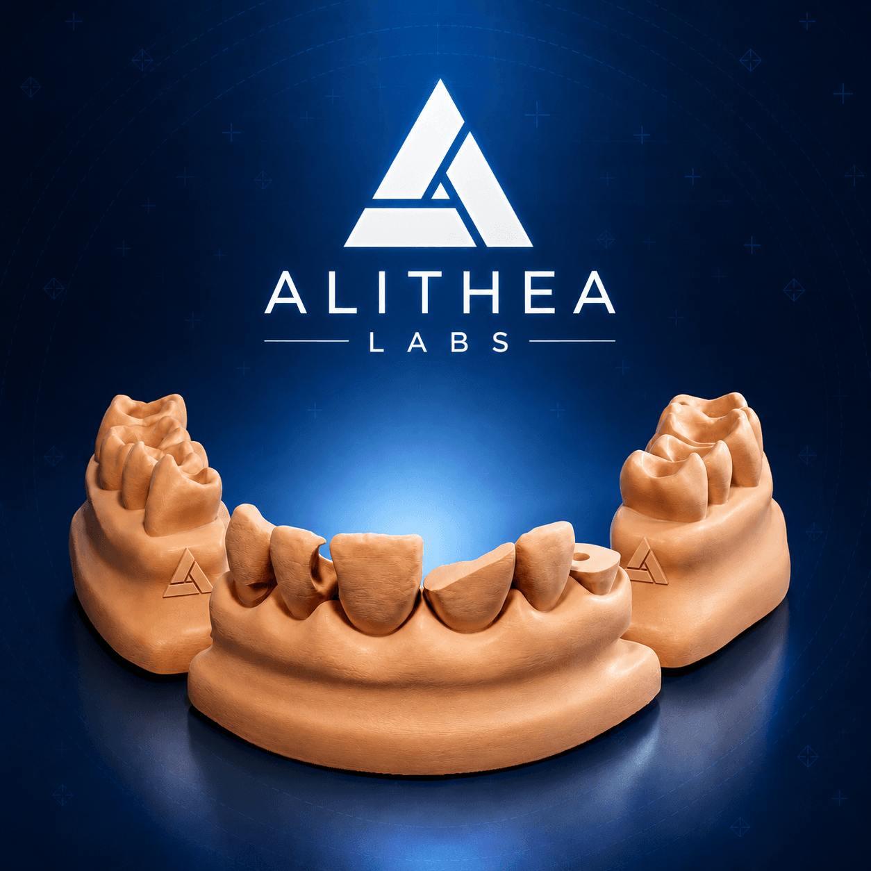 Alithea dental training model